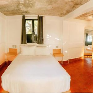 Suite Garden View